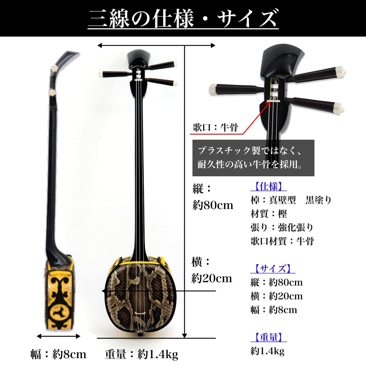 Amazon | 三線 沖縄三線 初心者向け『究極』コンプリートフルセット 本