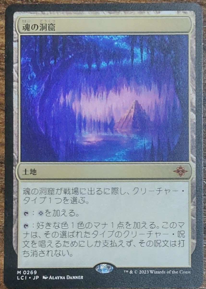 MTG 魂の洞窟 英語 2枚セット ① MTG 英語 魂の洞窟 ／ Cavern of