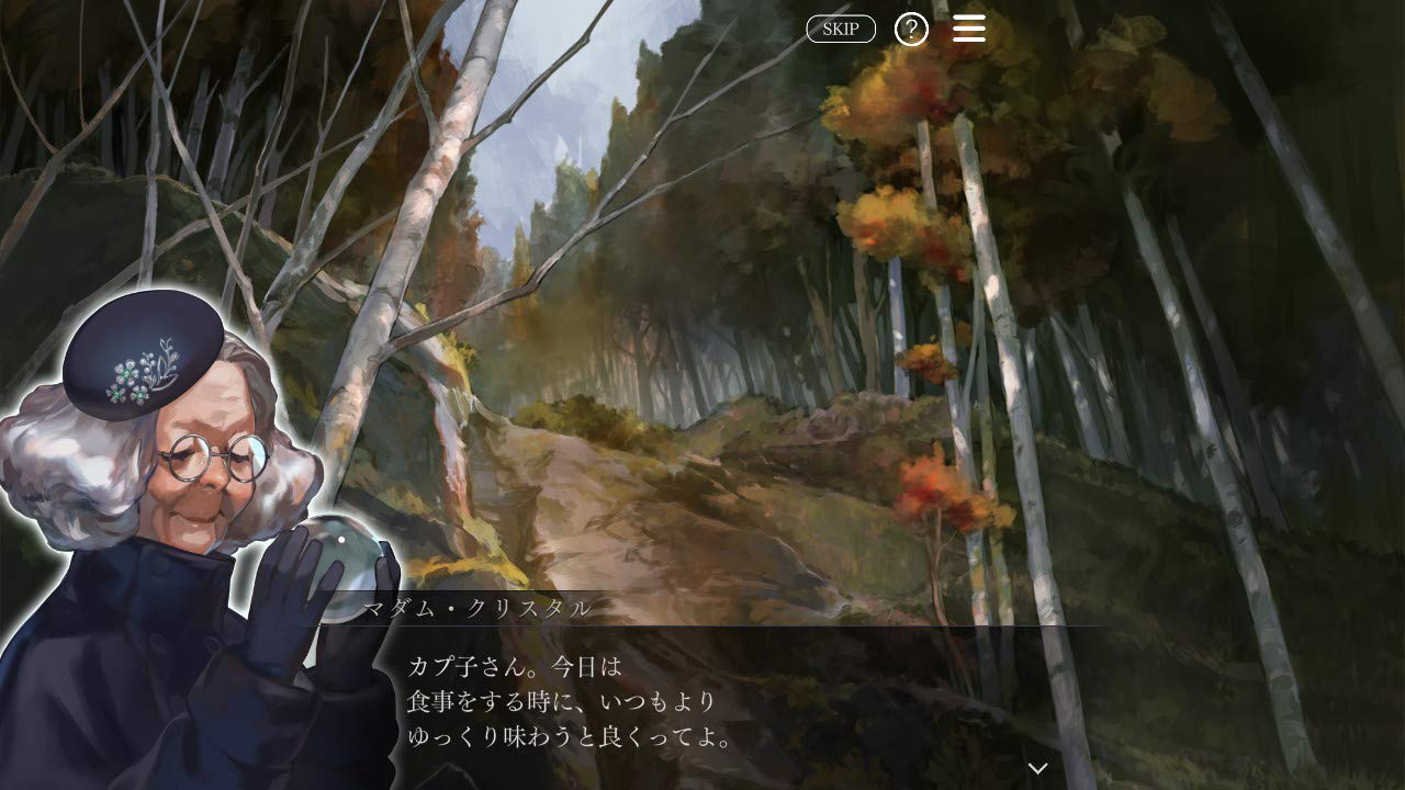 Amazon.co.jp: 囚われのパルマ Refrain コレクターズ エディション