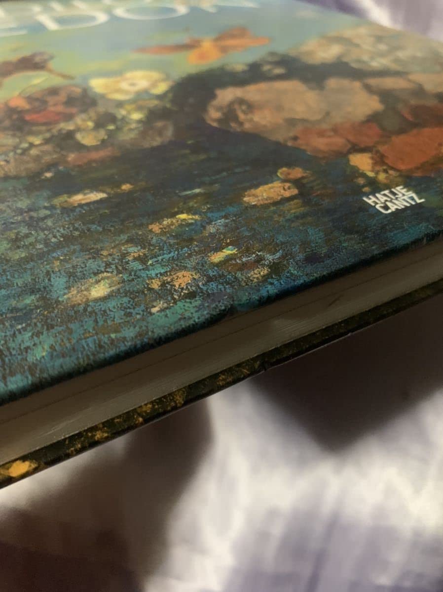 Amazon.co.jp: 洋書 オディロンルドン画集 ODILON REDON HATJE CANTZ