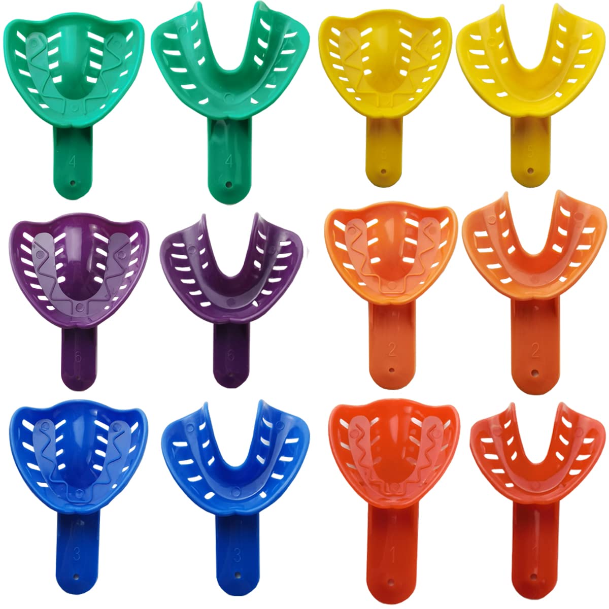Amazon.com: GXXMEI 12PCS 6 Sizes Dental Impression Tray for Adult