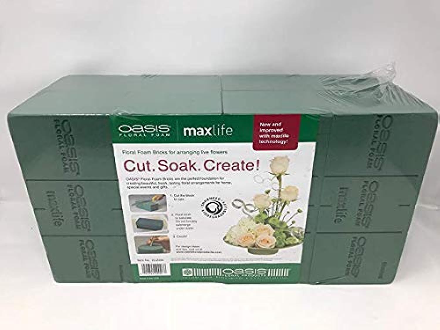 Amazon.com: Oasis Pack of 8 Standard Floral Foam Bricks. New and