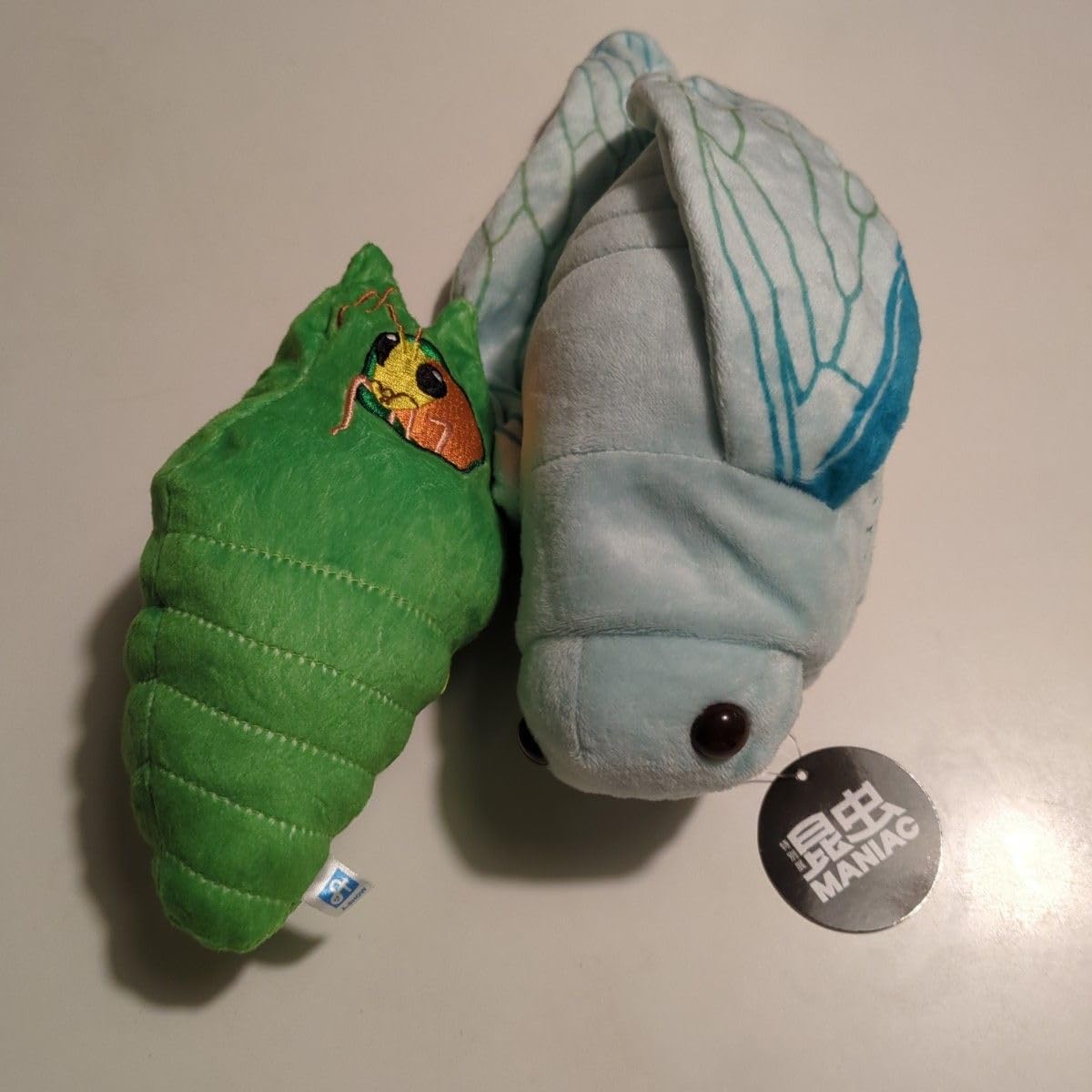 Amazon.co.jp: 昆虫 MANIAC セミの抜け殻からセミ アゲハ幼虫