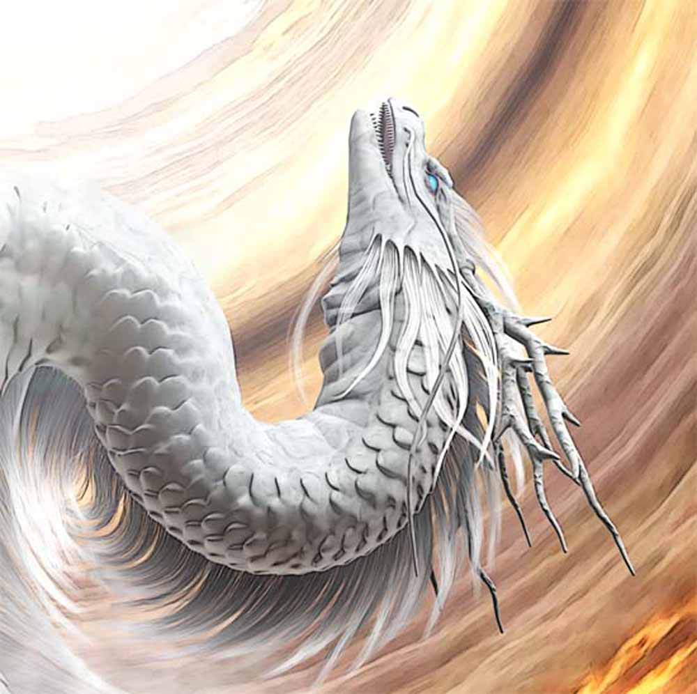 Amazon.co.jp: 龍の絵 「昇り龍1 白龍」 A3 竜の絵 : ホーム＆キッチン