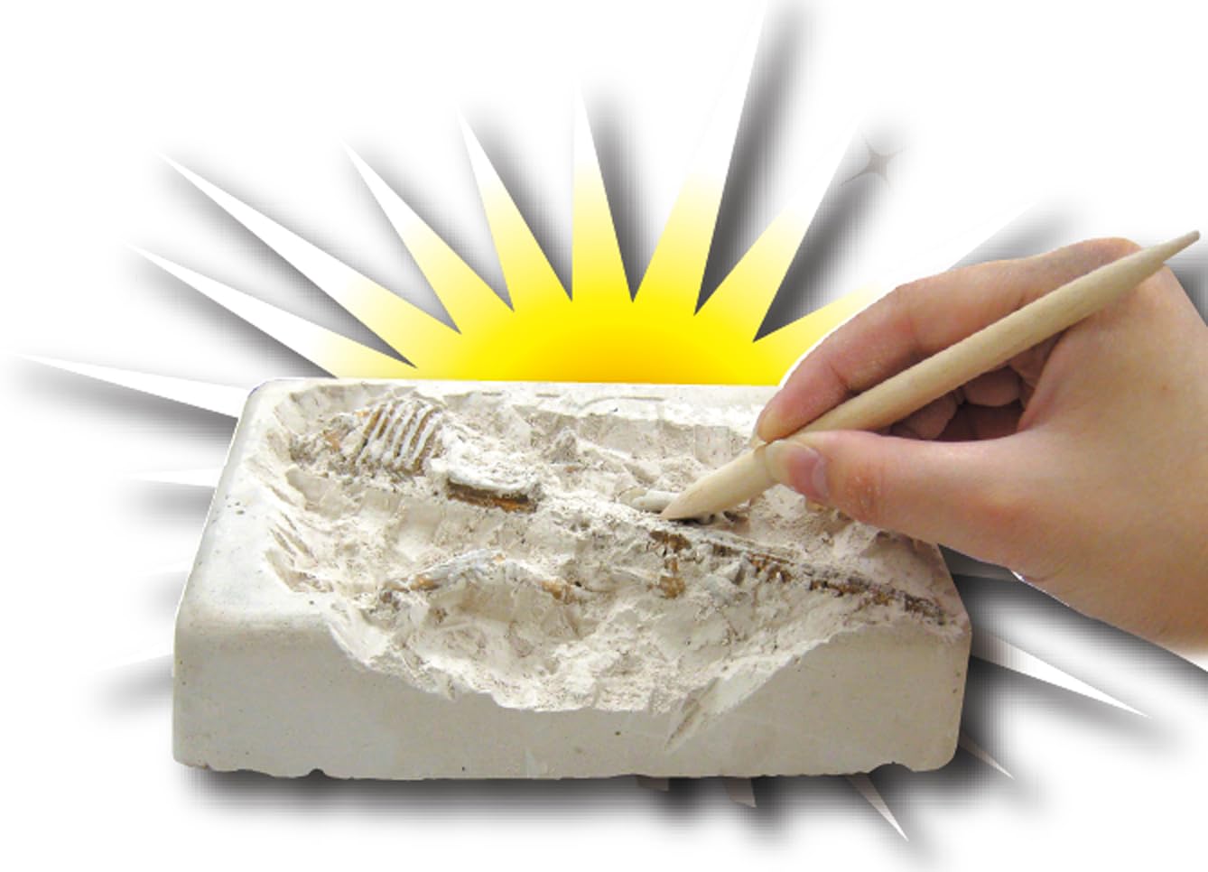 Amazon | ノブカンパニー 黄金の発掘名人SUPERDX 6種類