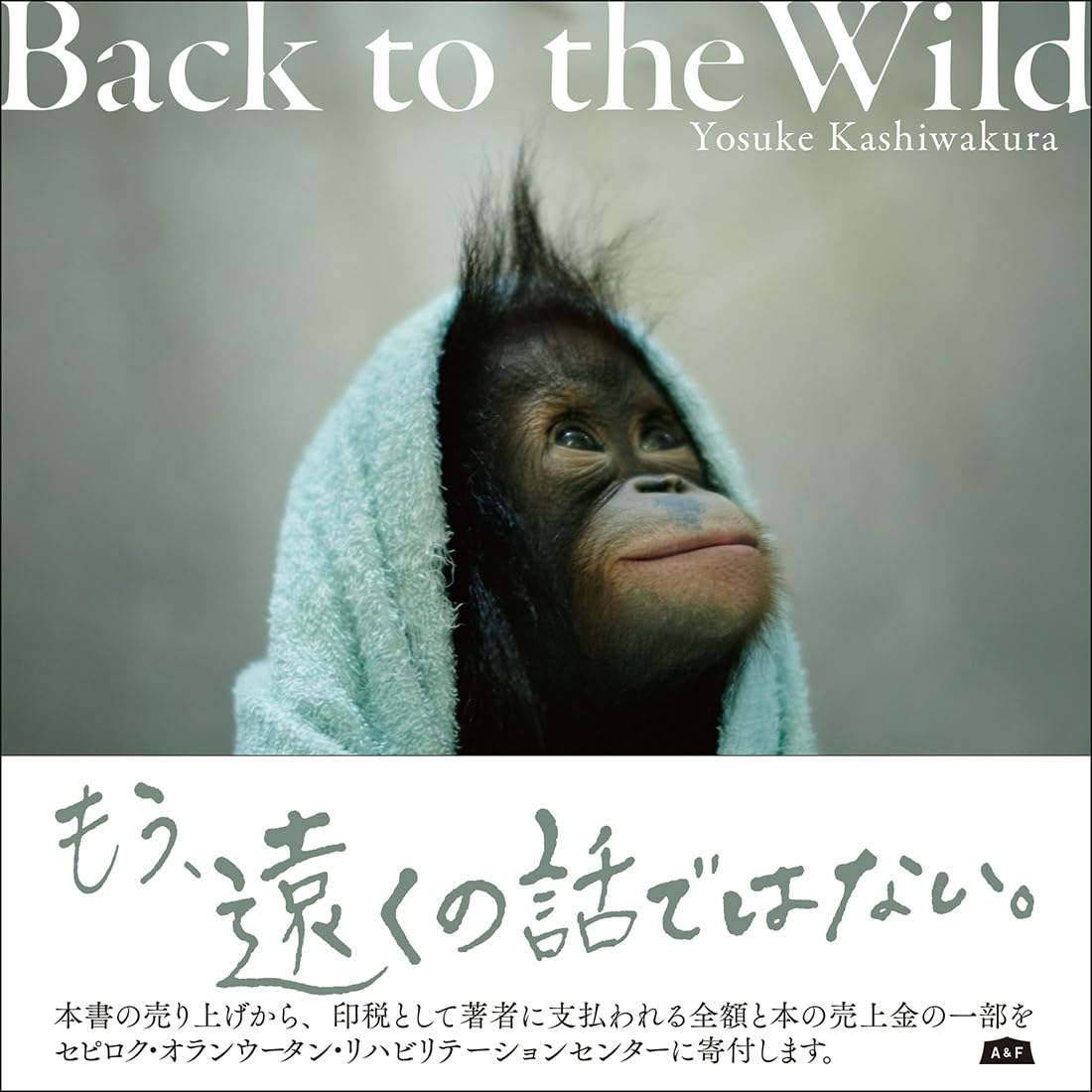 Amazon.co.jp: 『Back to the Wild 』森を失ったオランウータン : 柏倉