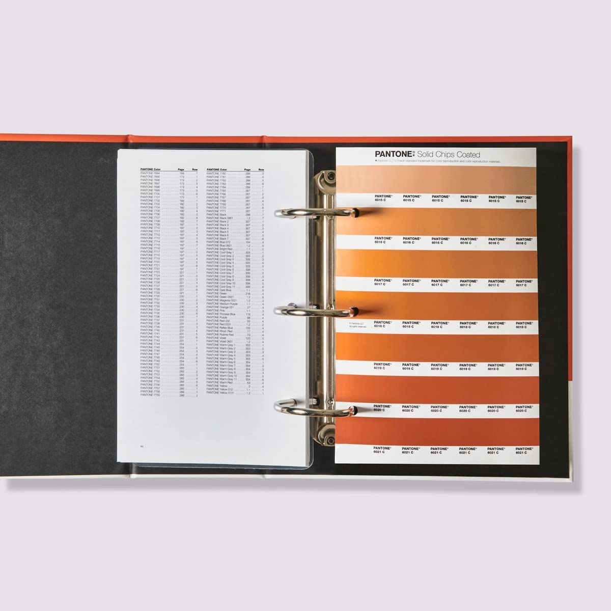 Amazon | PANTONE 色見本 パントン GP1608B ソリッドカラー・セット/2