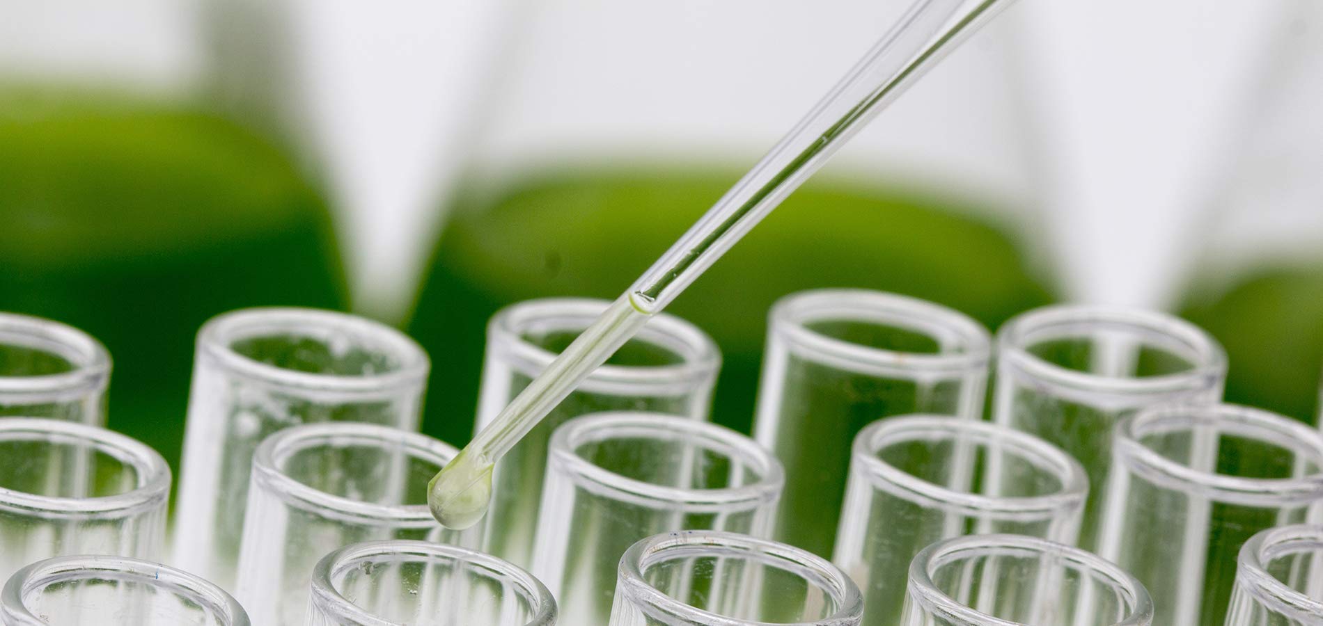 Amazon.co.jp: meravi メラヴィ 美容液 & クリーム セット : ビューティー