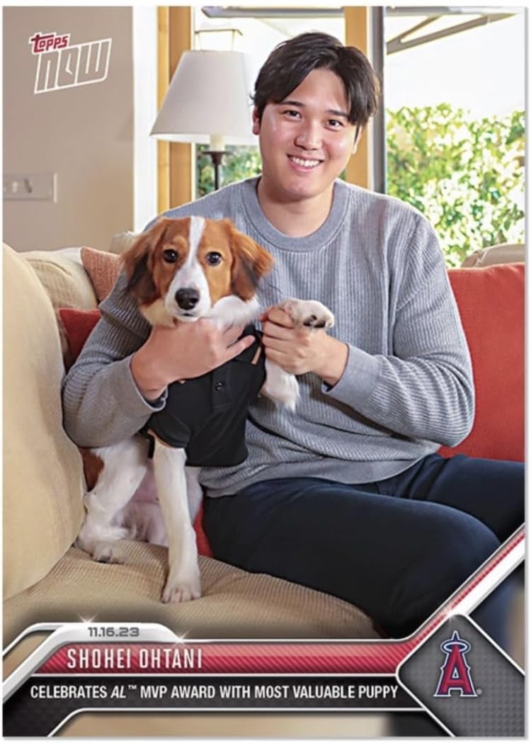 Amazon.co.jp: 【限定品】大谷翔平 MVPカード デコピン : スポーツ