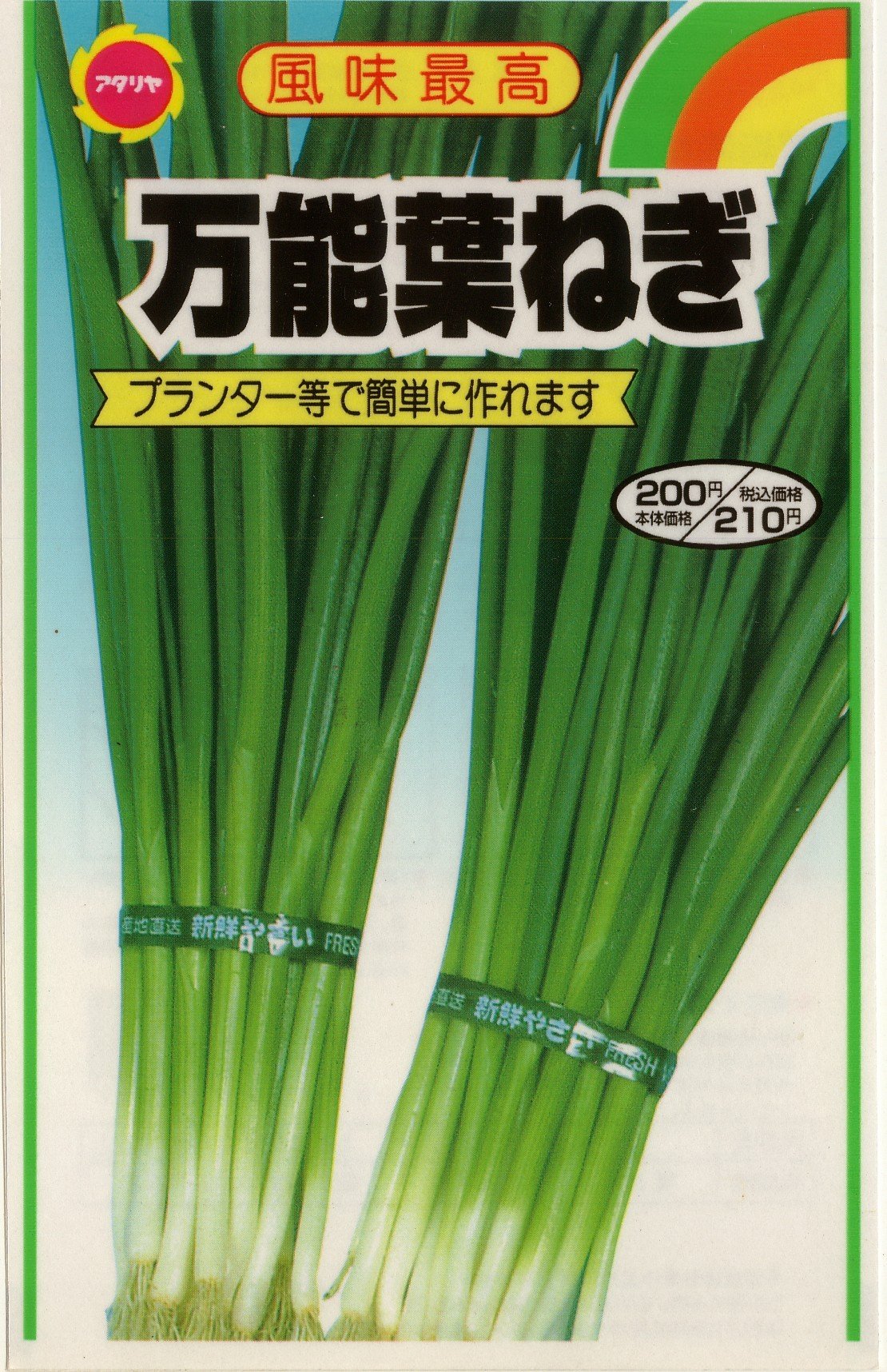 ネギの種 龍のぼり14個 ネギの種 龍のぼり14個 龍（たつ）