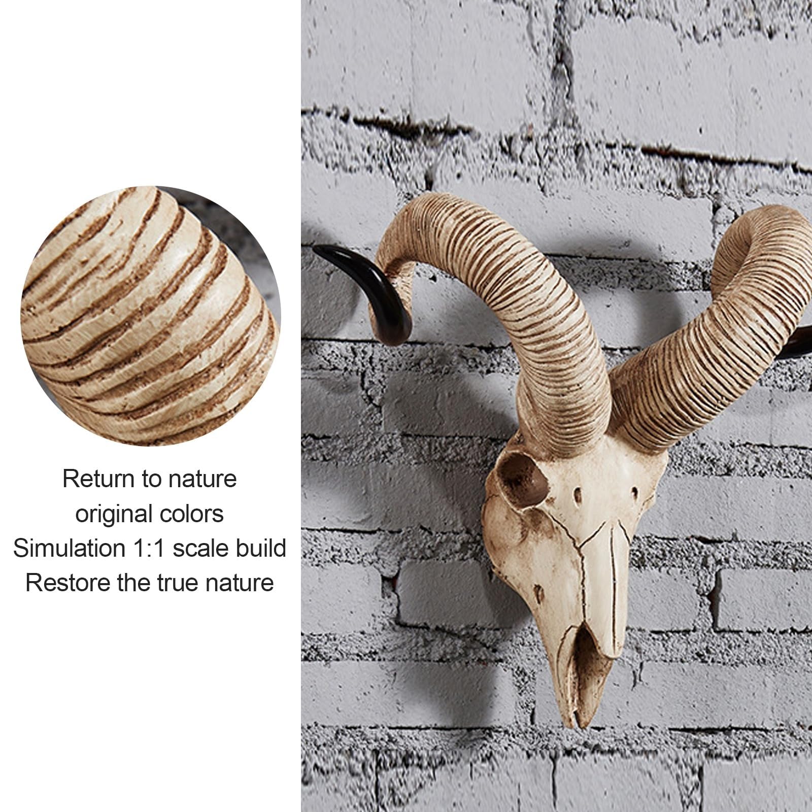 Amazon.co.jp: ロングホーン 牛の頭蓋骨 - ヤギ ロングホーン 壁装飾