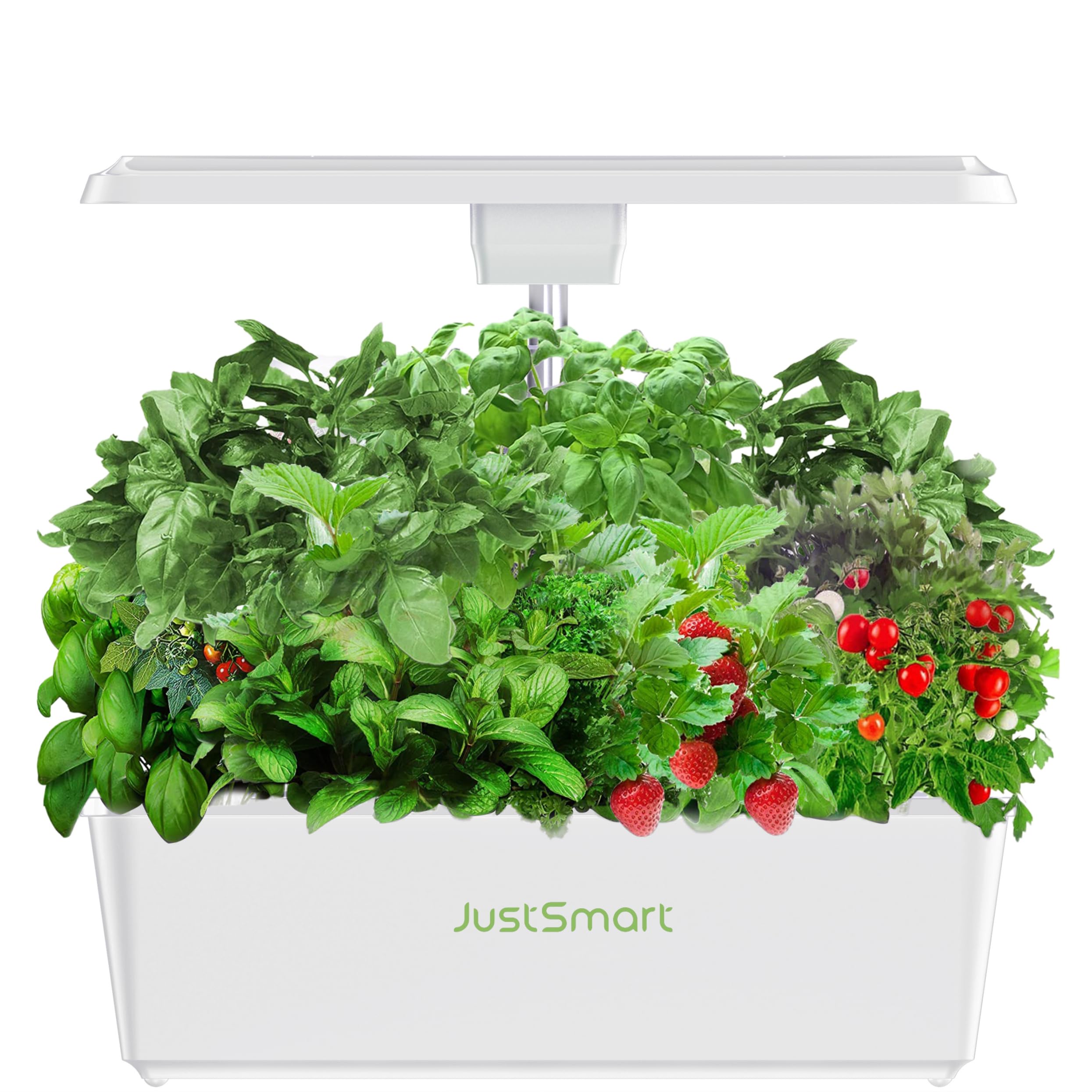 Amazon.co.jp: JustSmart 水耕栽培キット 室内 水耕栽培 おしゃれ 家庭