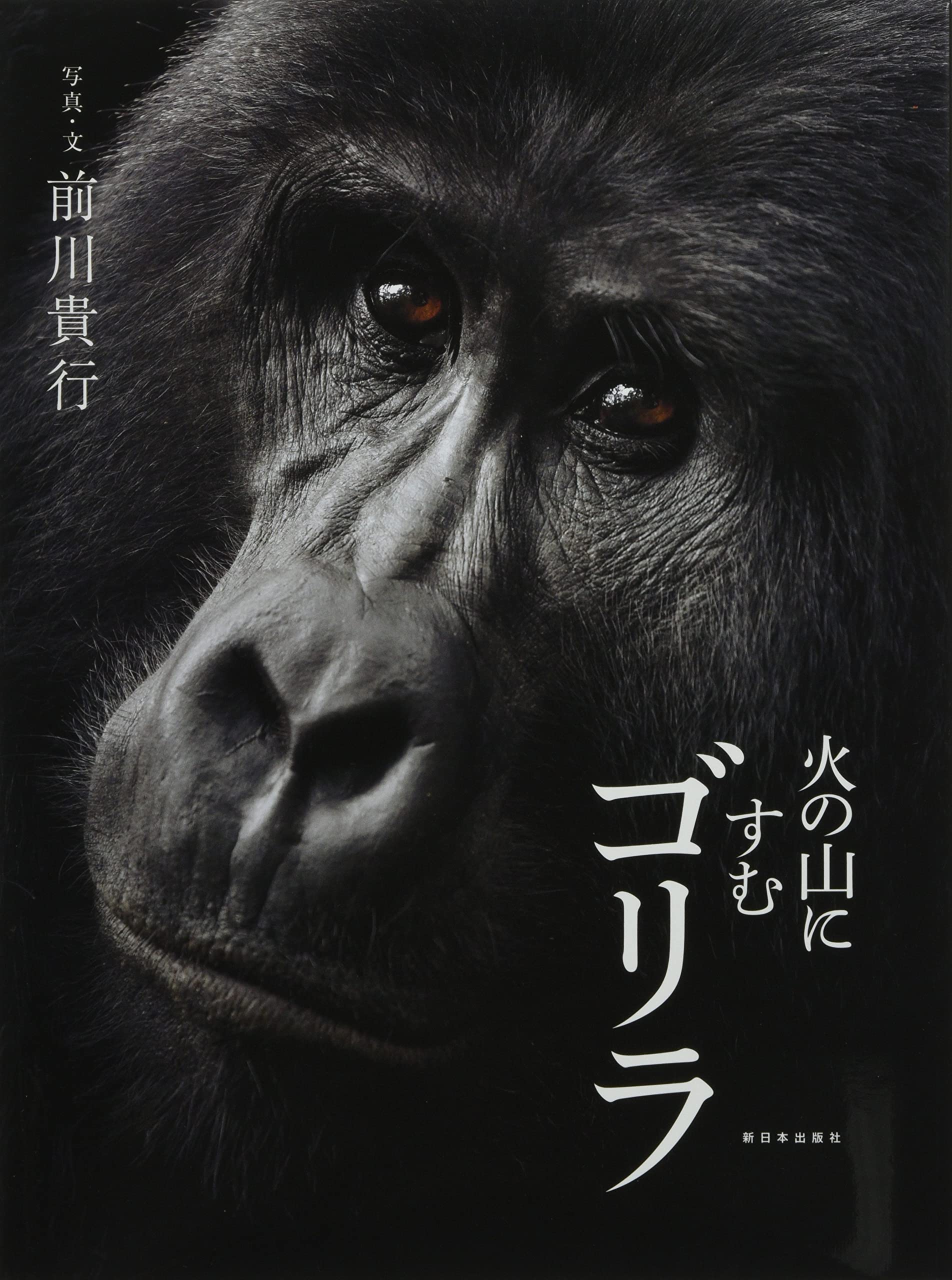 Amazon.co.jp: 火の山にすむゴリラ : 前川貴行: 本