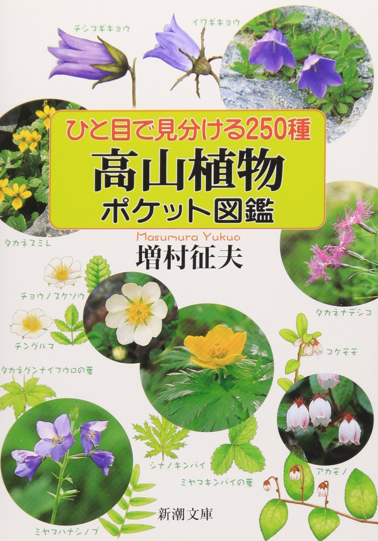 ひと目で見分ける250種 高山植物ポケット図鑑 (新潮文庫) | 征夫, 増村