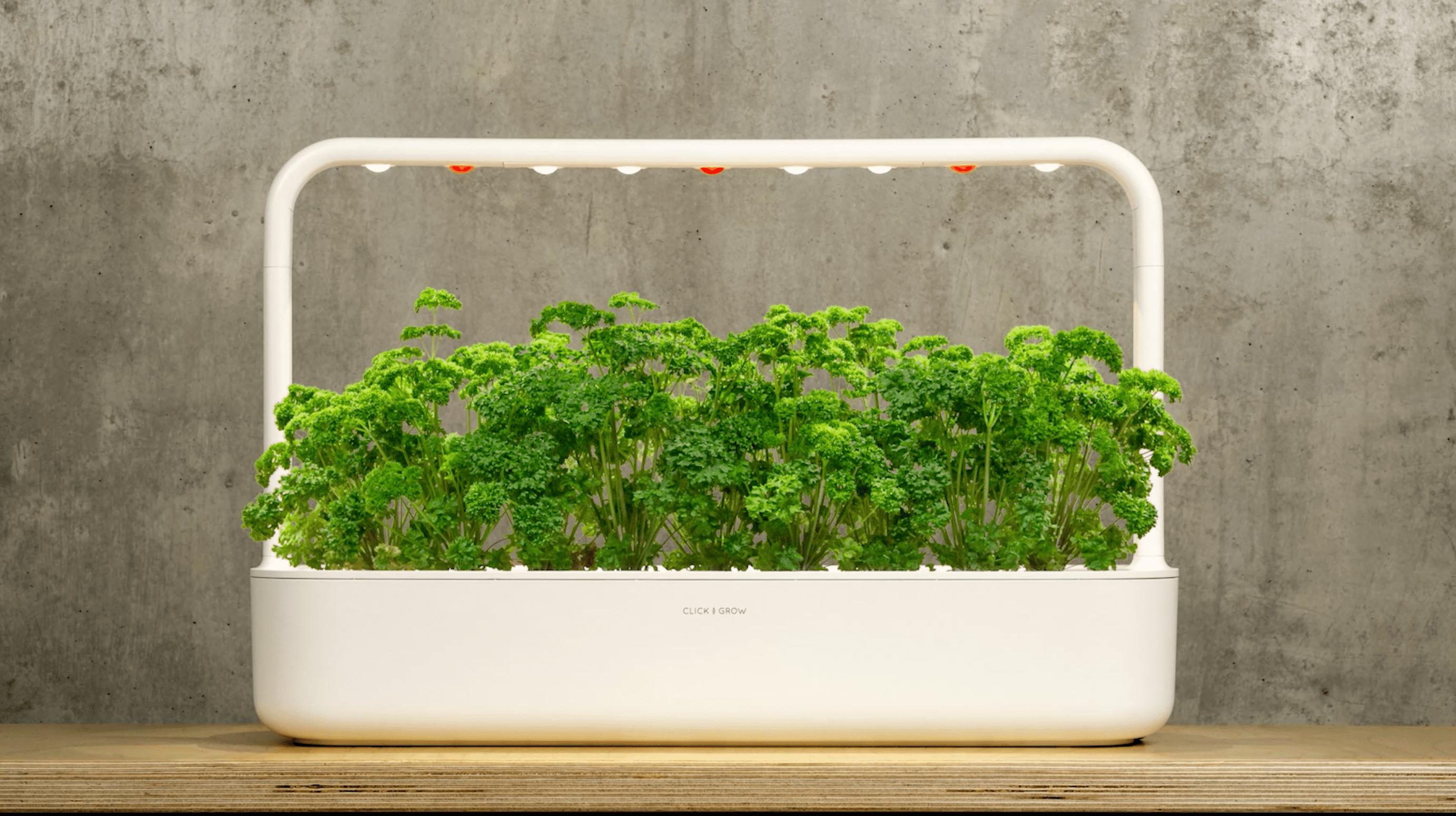 Click & Grow Smart Garden, Huerto Inteligente Interior, 9 Cápsulas