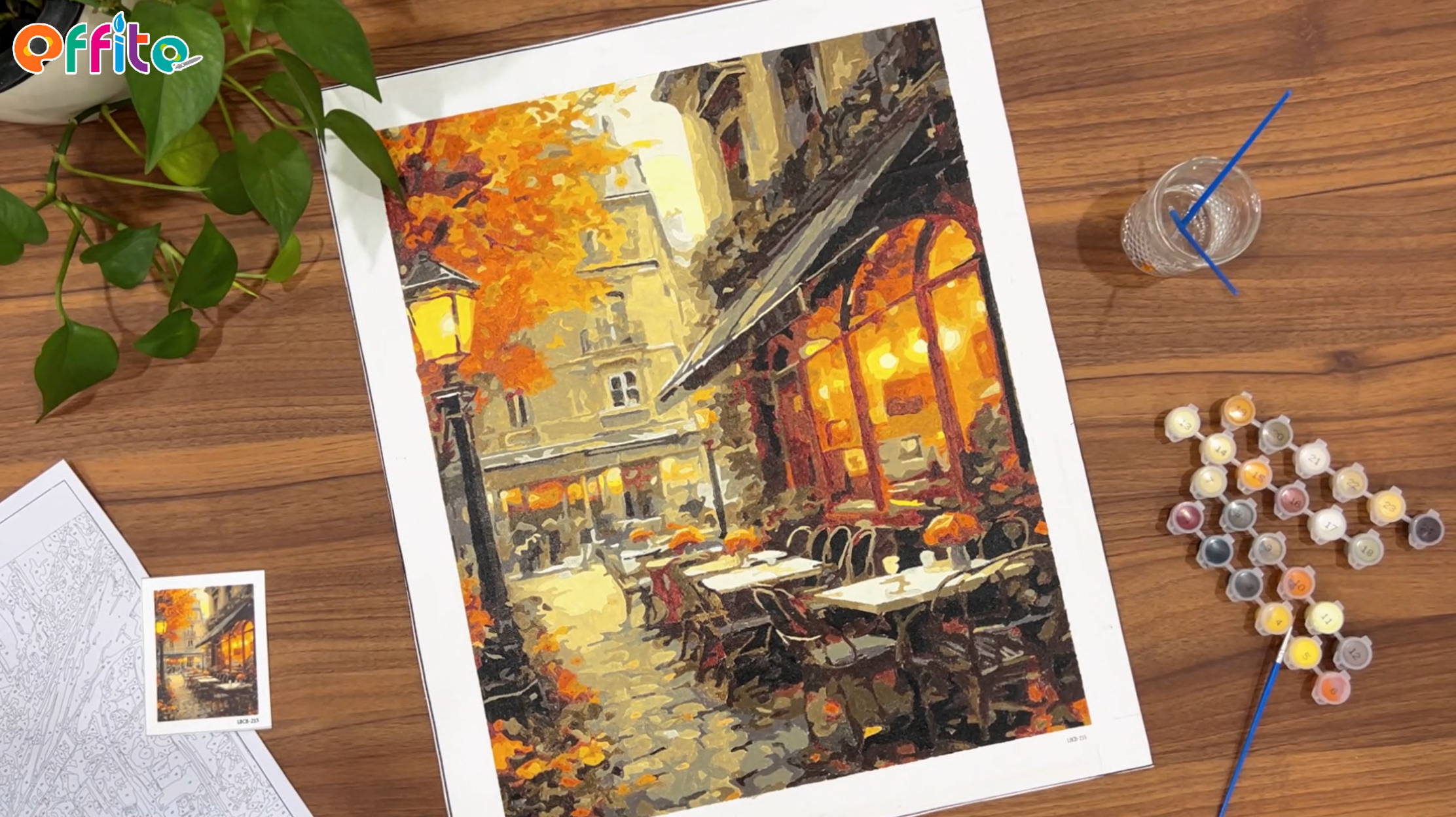 Amazon.com: Paint by Numbers Kit for Adults Framed Canvas - 16x20