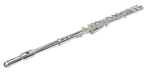 Amazon | 【国内正規品】 PLAYTECH プレイテック フルート PTFL-200