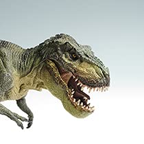 Amazon | SCIENCE Fossil Replica T-REX Tooth「T-REX