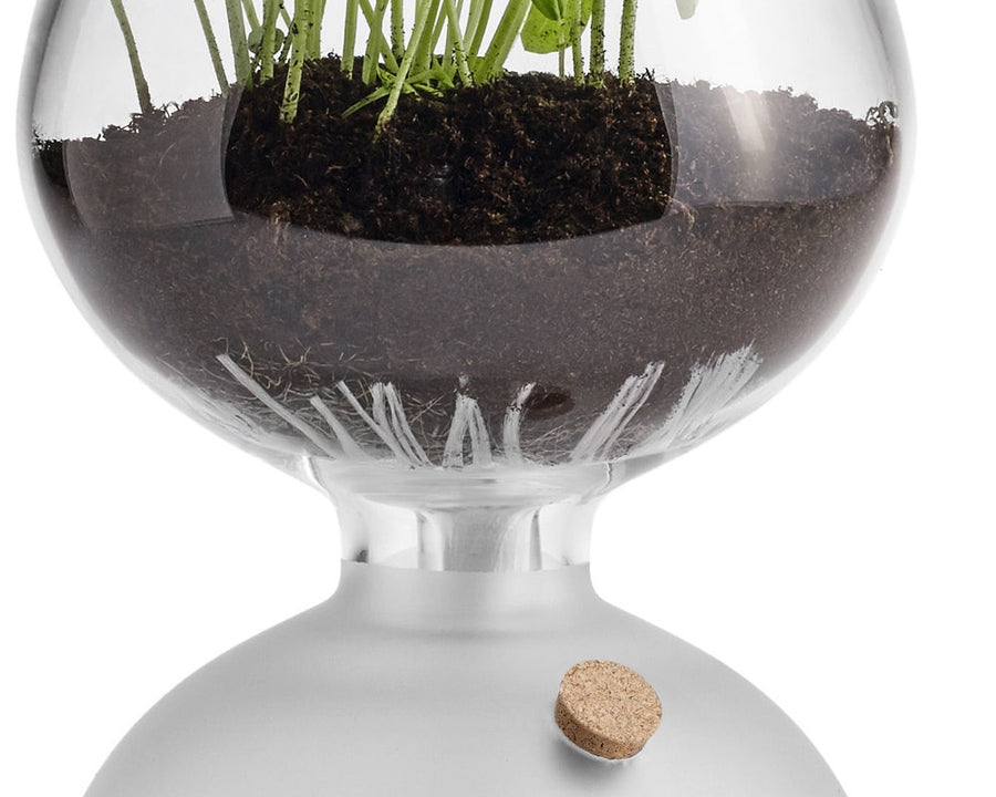 Holmegaard(ホルムガード) GAIA Plant Glass ガイアプラントグラス