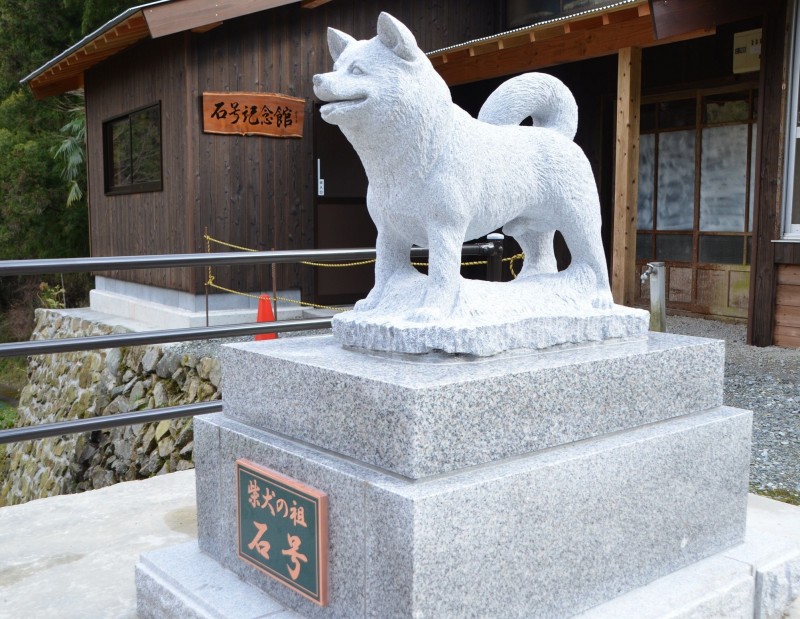 柴犬の祖犬「石号」情報 | 美都町特産観光協会