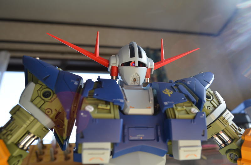 MODEL RUNNER ざくさん 1/100 MG ｼﾞｵﾝｸﾞ