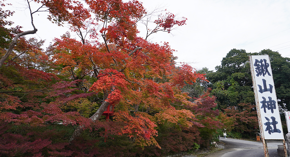 鍬山神社の紅葉｜おでかけ検索｜森の京都｜京都の「森」総合案内サイト