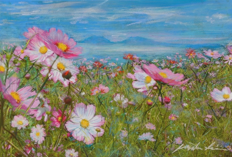 絵画のパステル画で石井清が描いたの花の絵「コスモス・A」を通販で販売