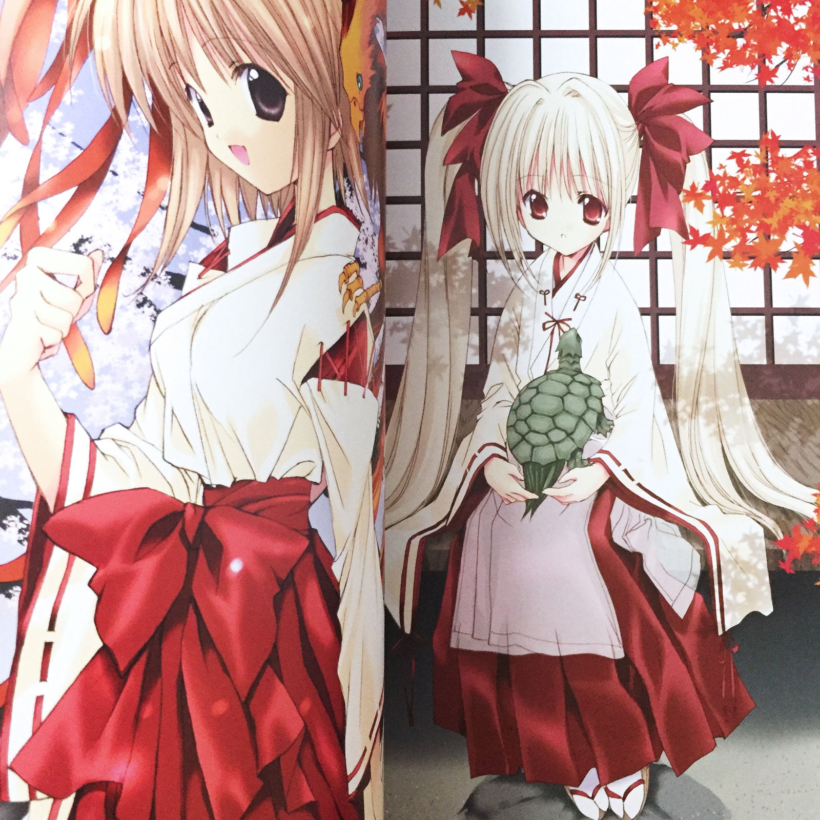 Aoi Nanase Art Book Seven Colors of the Wind – MOYASHI JAPAN BOOKS