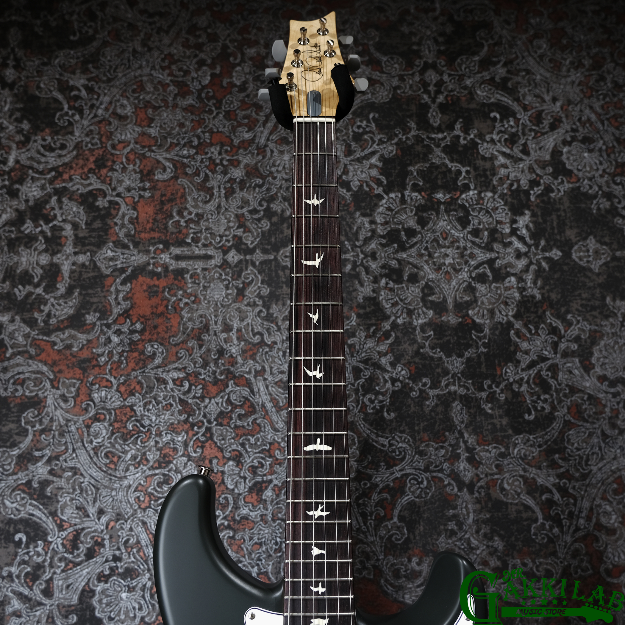 Paul Reed Smith Silver Sky Faded Black Tee Satin 2024 New color