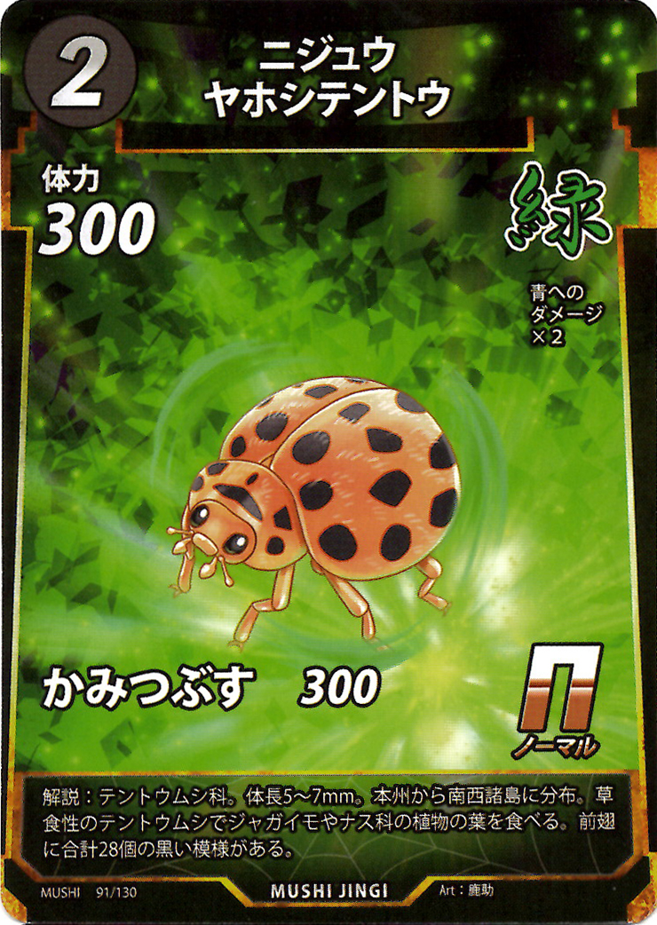 蟲神器】ニジュウヤホシテントウ(N)の詳細【昆虫カード図鑑】