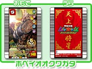 甲虫王者ムシキング スーパーコレクション＞ゲームしょうかい＞特典