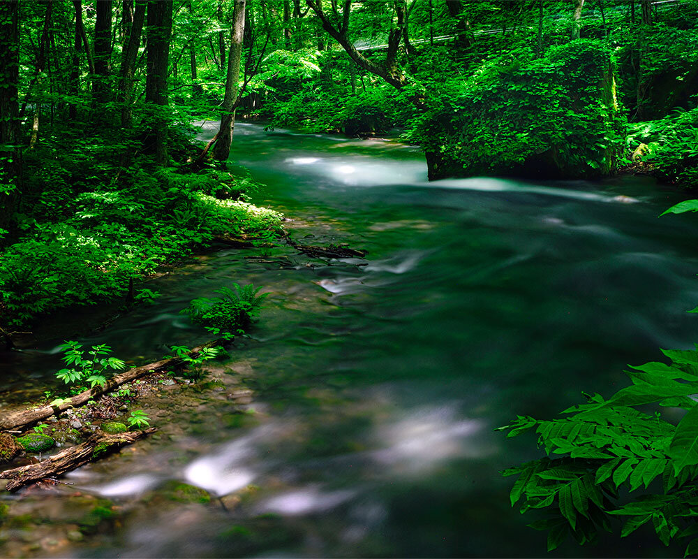 奥入瀬渓流