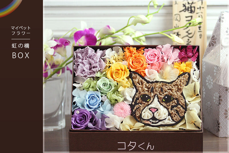 虹の橋 プリザーブドフラワー BOX | 動物のお花屋さんマイペリドット