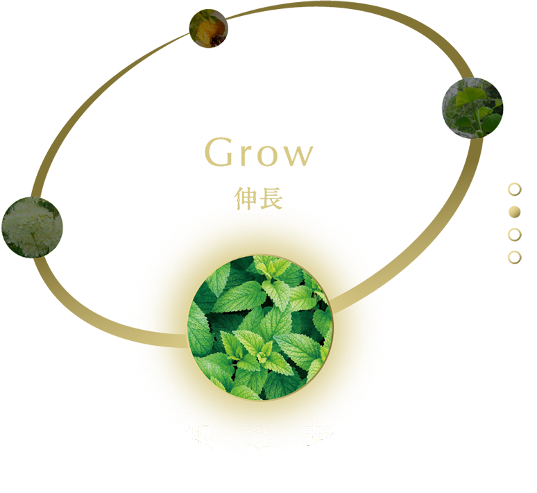 ノエビア505 | 株式会社ノエビア