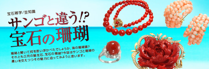 珊瑚という宝石 サンゴとは違う？ | ダイヤモンド・宝石の高価買取は