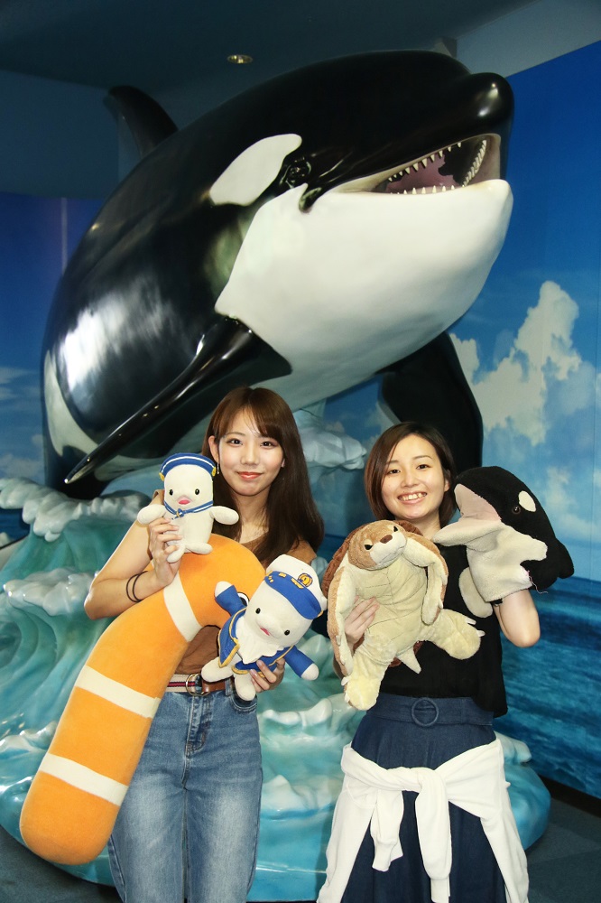 名古屋港水族館　シャチ　ナミちゃんうちわ 名古屋港水族館 シャチ「ナミ」 | ヤマカン103のブログ