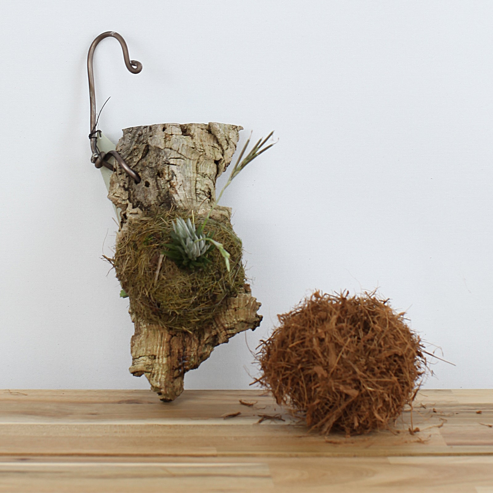 ねこのふわふわ（エクセレント（5ℓ）） – ねこの道具屋 事業部