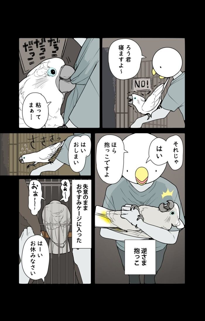 オウムは今日も考えている(668) 就寝前の粘り | マイナビニュース