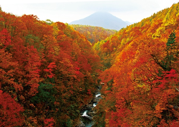 紅葉とスイーツを満喫！磐梯山麓おすすめスポット4選｜ウォーカープラス