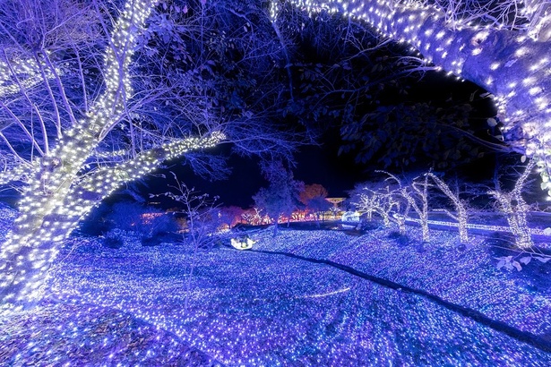 関東最大級のイルミネーション「さがみ湖イルミリオン」開催中！「映画