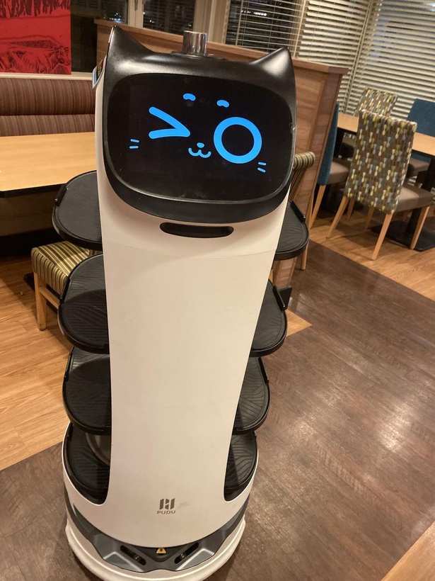 すかいらーくが導入したネコ型ロボットが愛されている理由とは？従業員