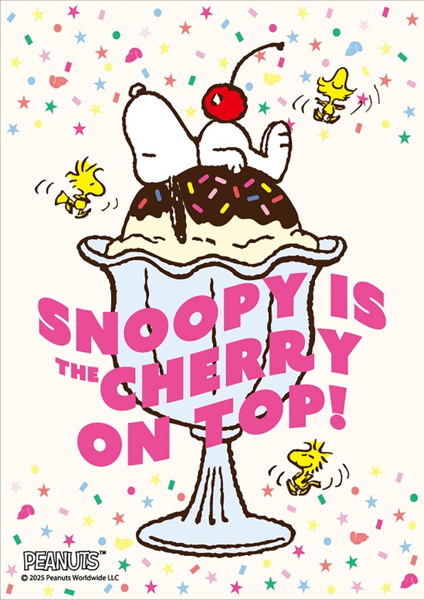 スヌーピーのグッズがPLAZAとMINiPLAを席巻！毎年恒例の「PEANUTS