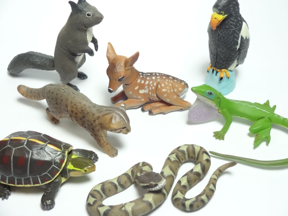 チョコエッグ日本の動物5