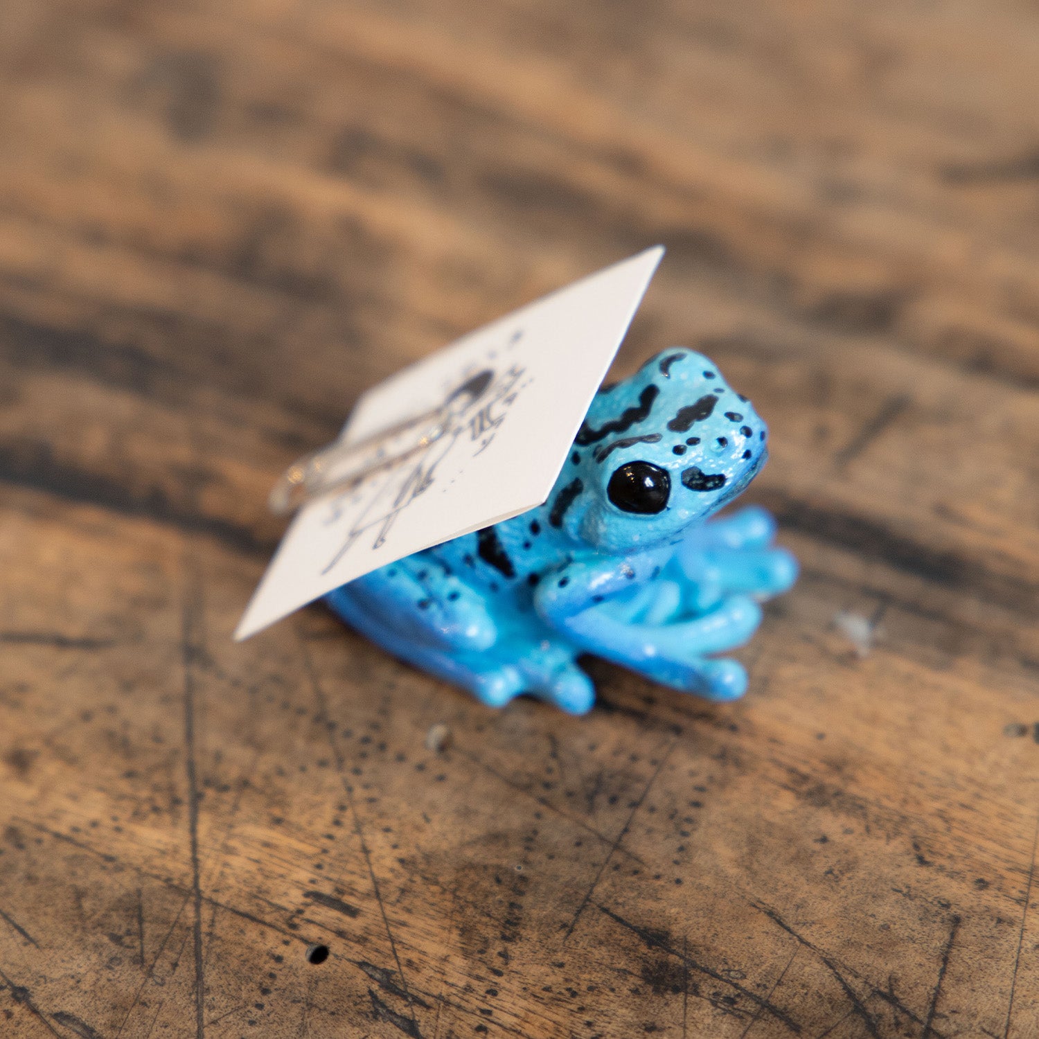 magnet / マグネット マグネット ヤドクガエル（青） – ニコノマニマニ