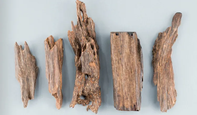 香木買取】香木（伽羅・沈香）の高価買取なら｜骨董・美術品買取【日晃堂】