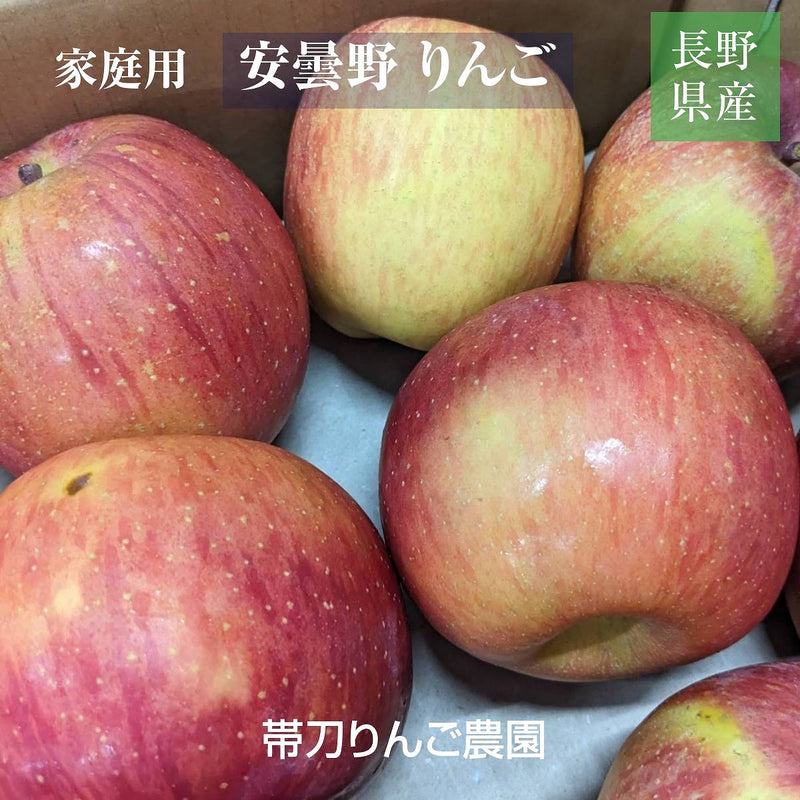 りんご 【帯刀りんご農園】 サンフジ 10kg 家庭用 訳あり B品 バラ詰め