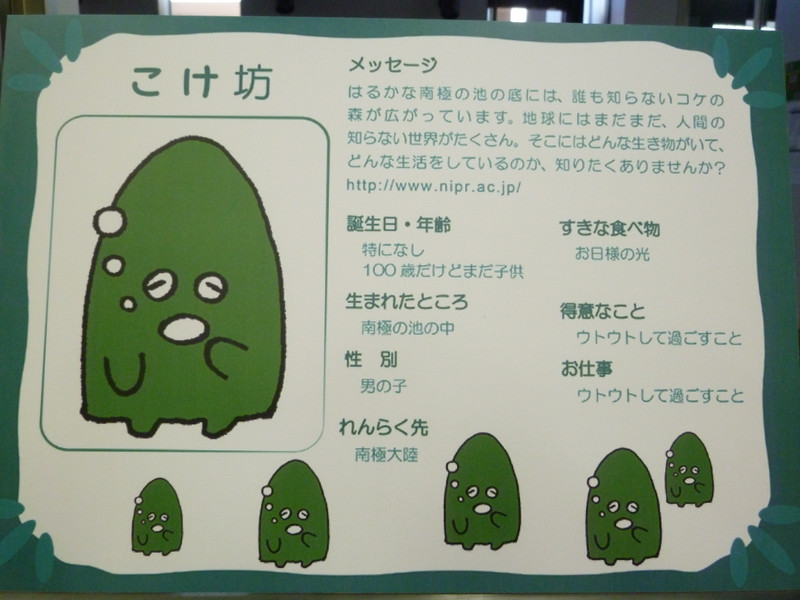 2/14 こけ坊人気上昇中！ - 南極・北極科学館 スタッフブログ