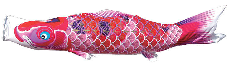 創業1923年 鯉のぼり屋 大型鯉のぼり ちりめん京錦