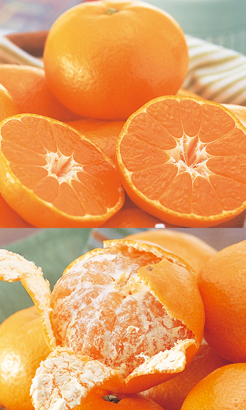 媛まどんな＆愛媛みかんセット約2kg(各1kg)家庭用 | のま果樹園