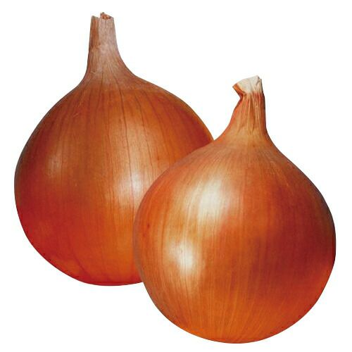 000000008025-01.jpg?size=l&w=